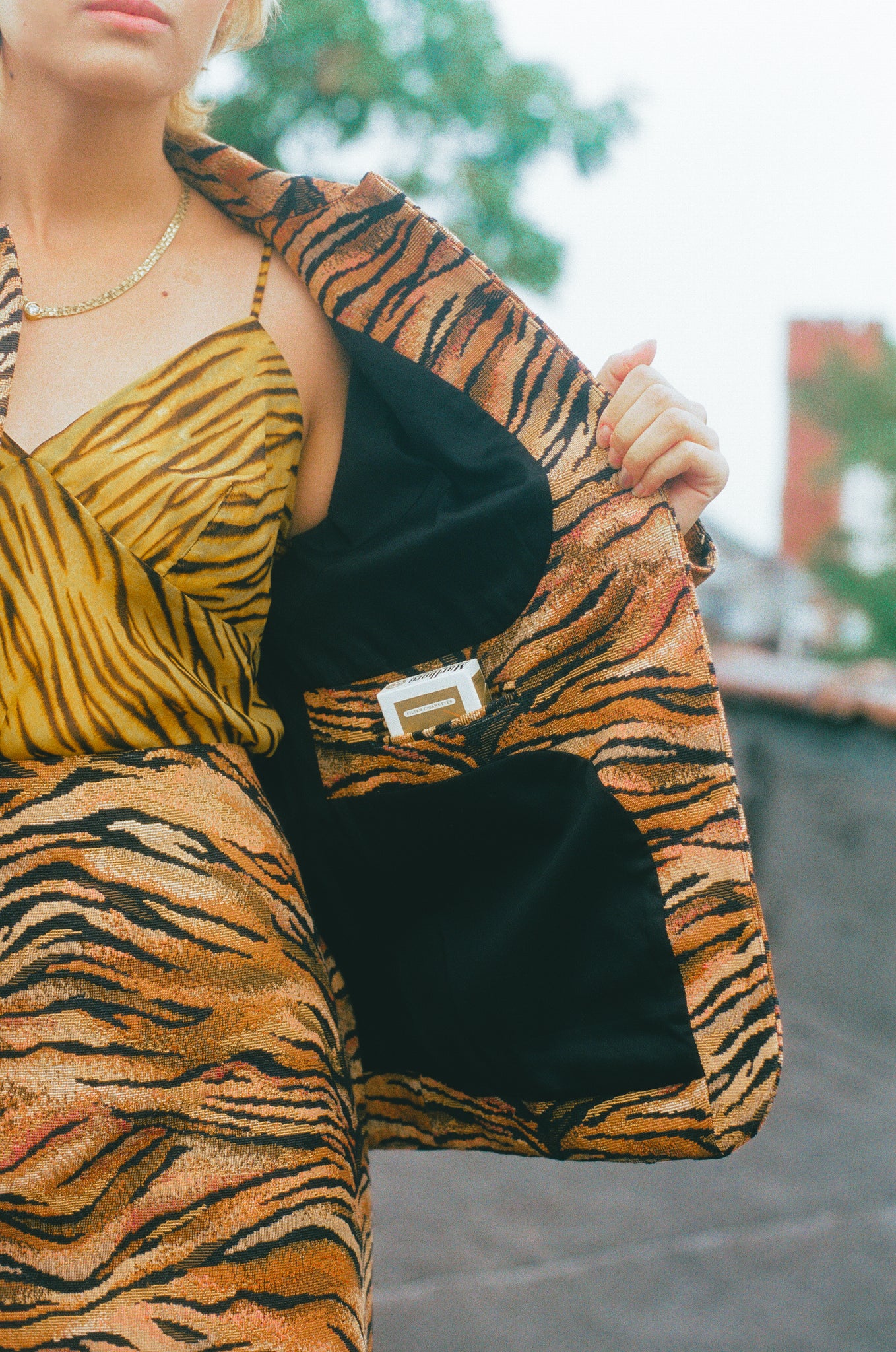 Paris Jacket- Tiger - Stewart Enslow